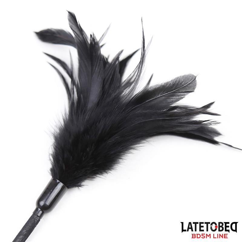 Multi Feathers Tickler and Lace Ribbon Paddle Comb